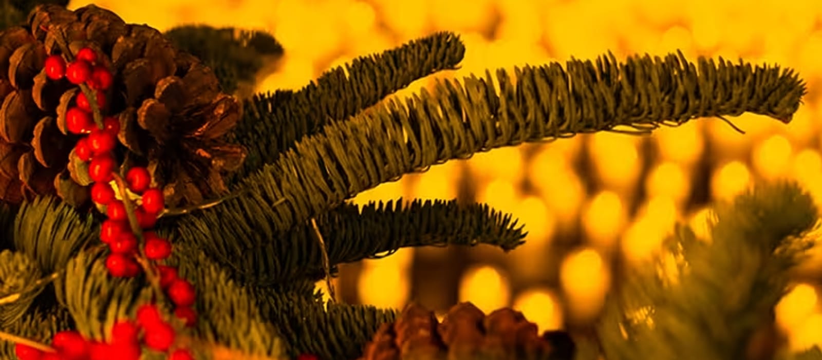 Candlelight: Christmas Classics in Bern