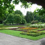 More Than Classic – Wo klassische Musik auf Innovation trifft